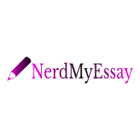 Nerd My Essay logo